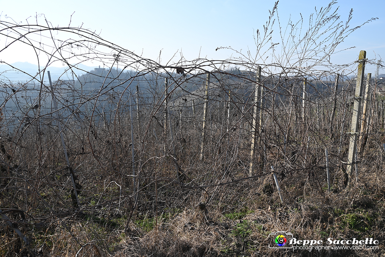 VBS_1147 - Santo Stefano Roero.jpg